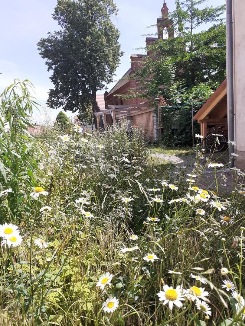 Ferienwohnung Martinsblick Angermunde Luaran gambar