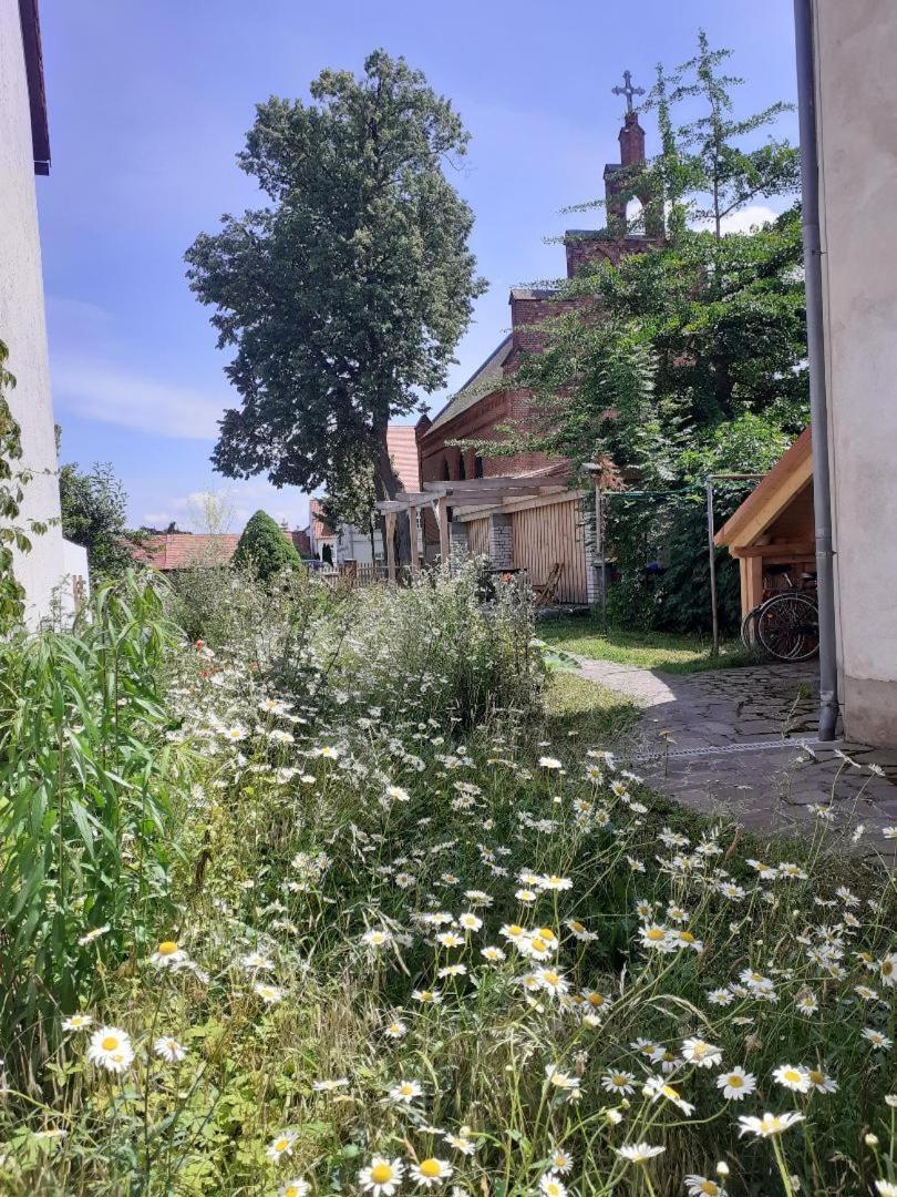 Ferienwohnung Martinsblick Angermunde Luaran gambar